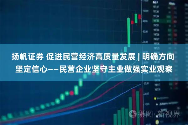扬帆证券 促进民营经济高质量发展 | 明确方向 坚定信心——民营企业坚守主业做强实业观察