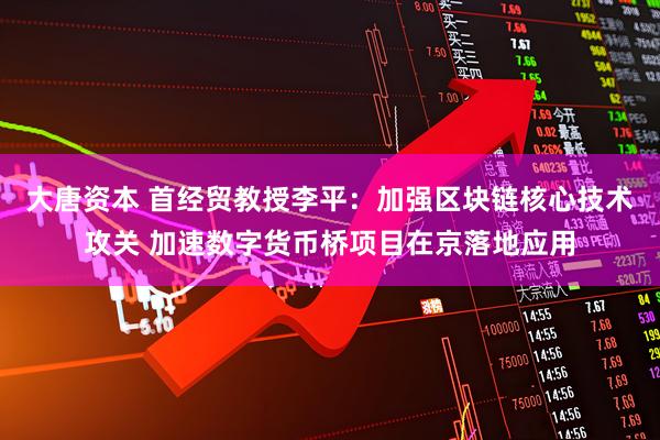 大唐资本 首经贸教授李平：加强区块链核心技术攻关 加速数字货币桥项目在京落地应用